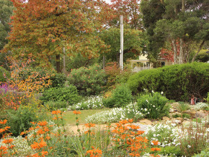 Water Features In Cottage Gardens Melbourne Ben Harris Gardens